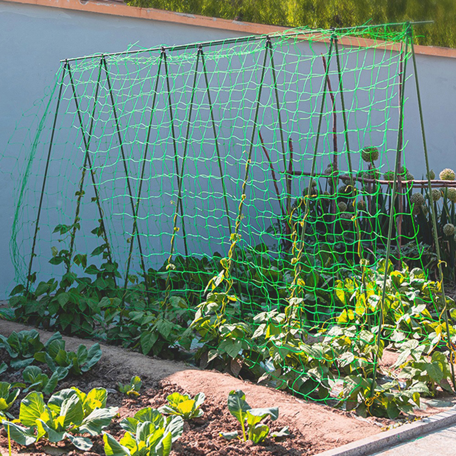 Vine Climbing Plastic - Garden Netting Plant Vine Growing Holder