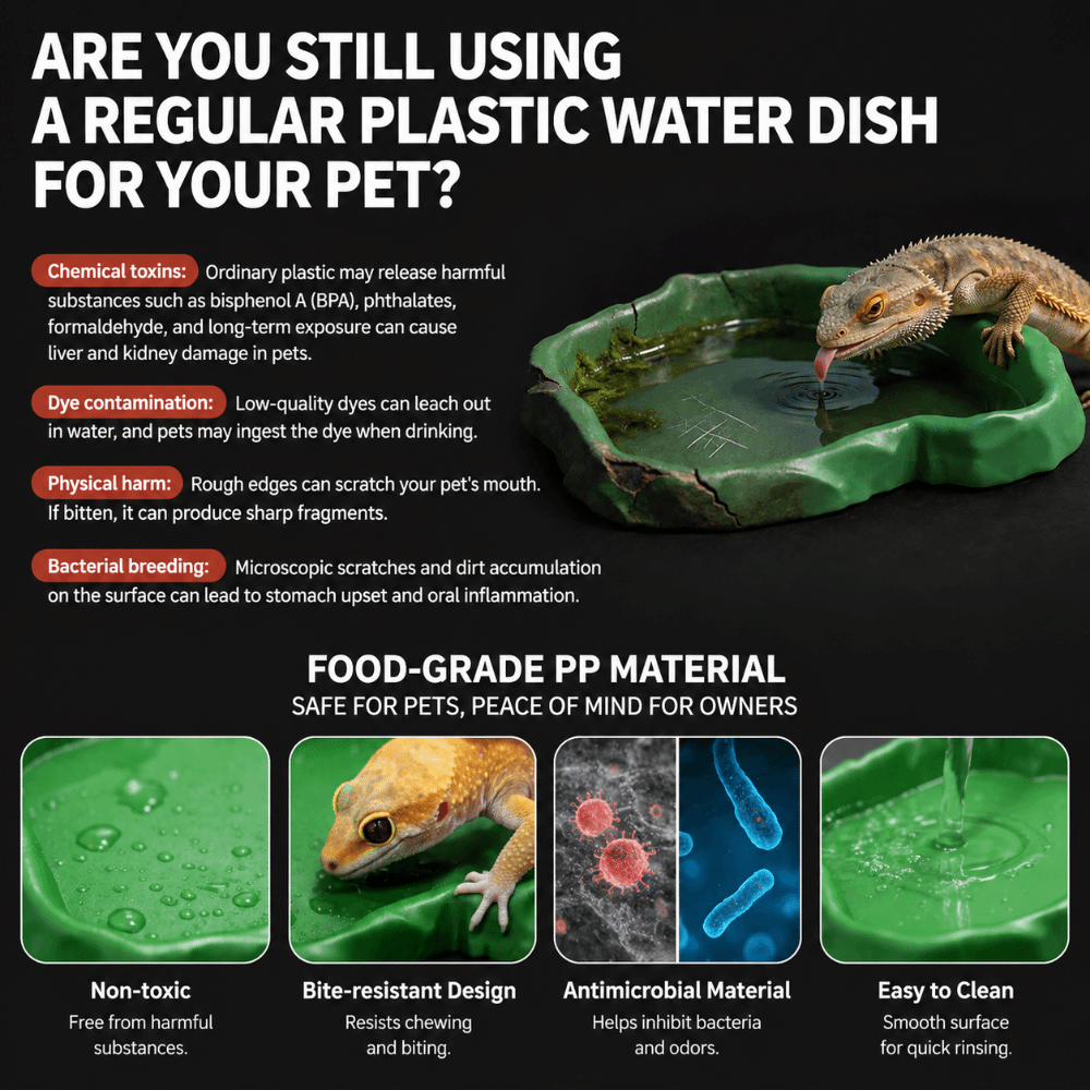 Water Dish Reptile - ABS Resin Reptile Feeder Bowl Stone