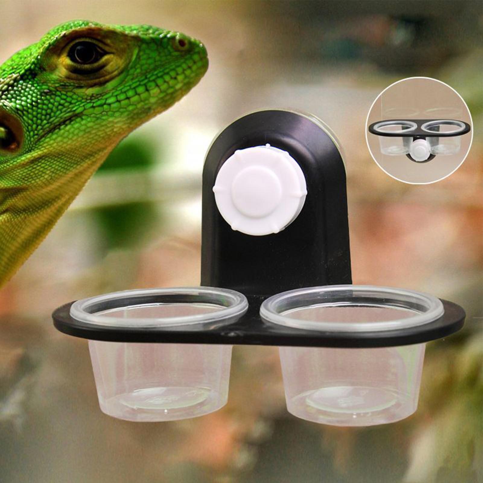 Water Dish Reptile - Gecko Food Dish Gecko Feeding Cups