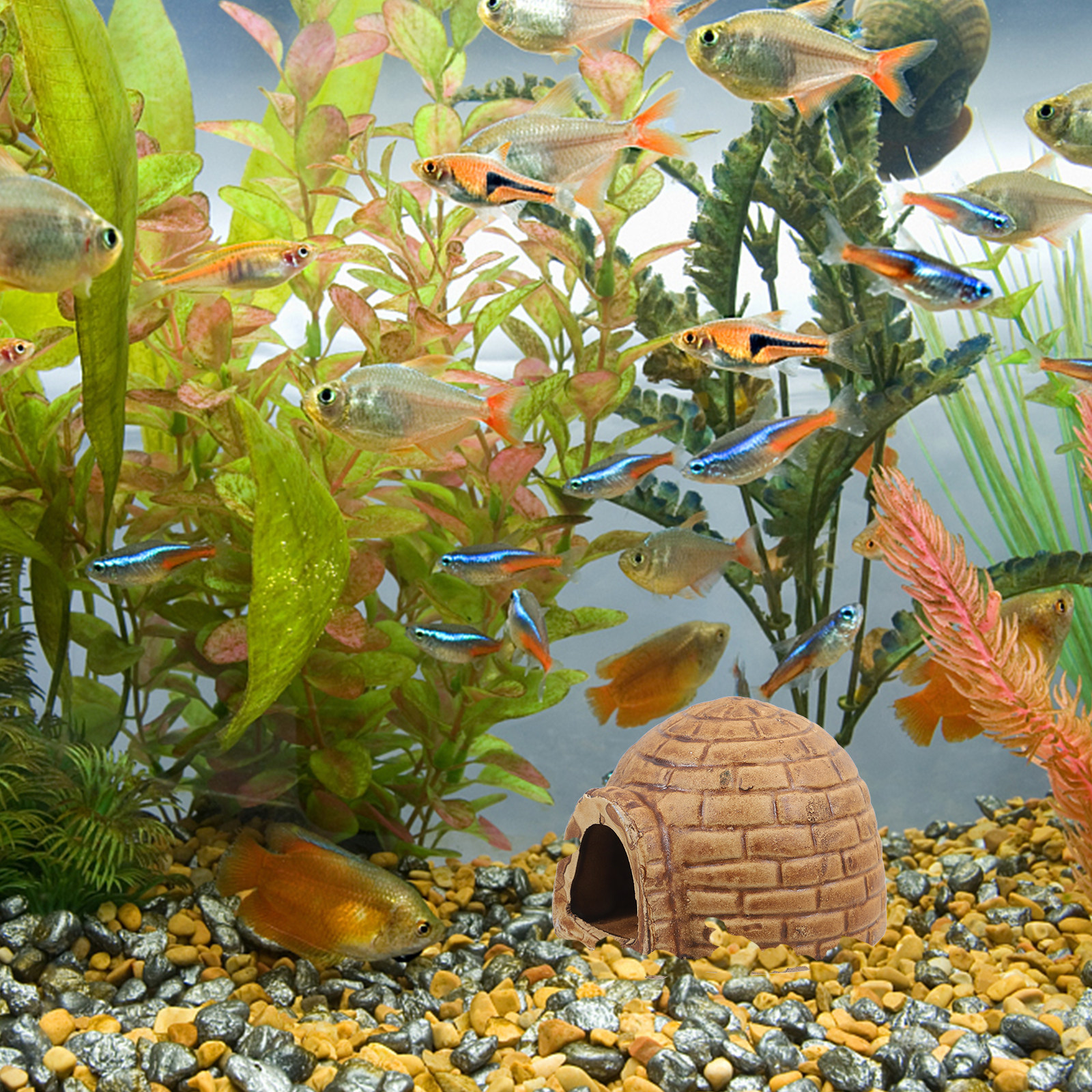 Hide Cave Ceramic - Ceramic Pleco Caves for Aquarium Fish