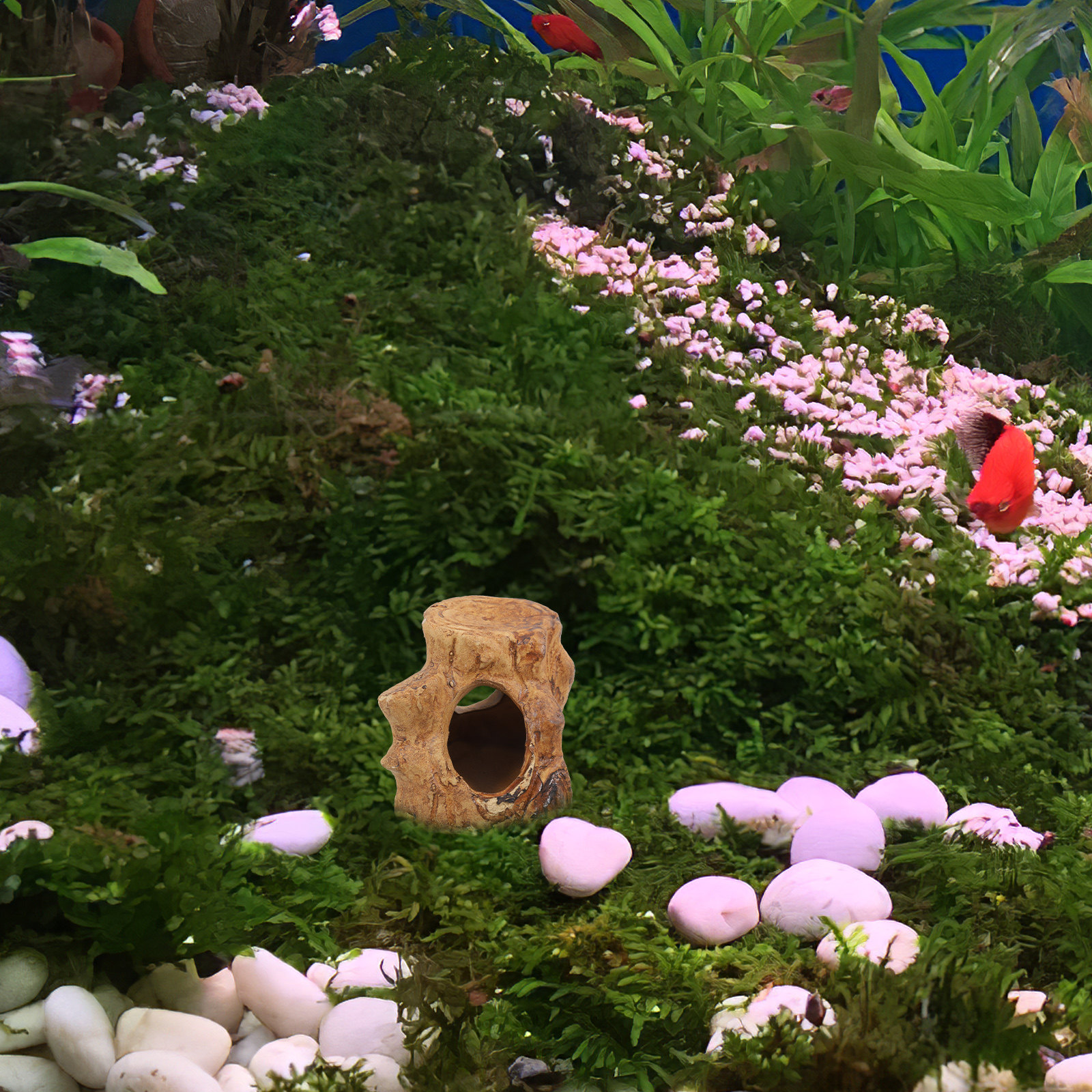 Hide Cave Ceramic - Premium Ceramic Aquarium Caves Fish Tank