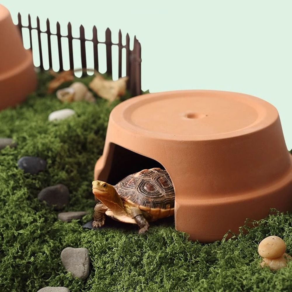 Multifunctional Ceramics Repti - Hide Cave Ceramic ulasan dan harga