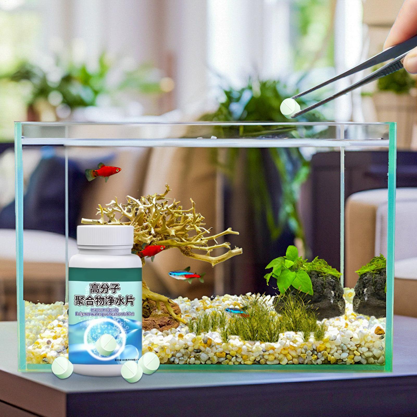 Fish Can Algae Remover Aquariu - Water Dish Reptile ulasan dan harga
