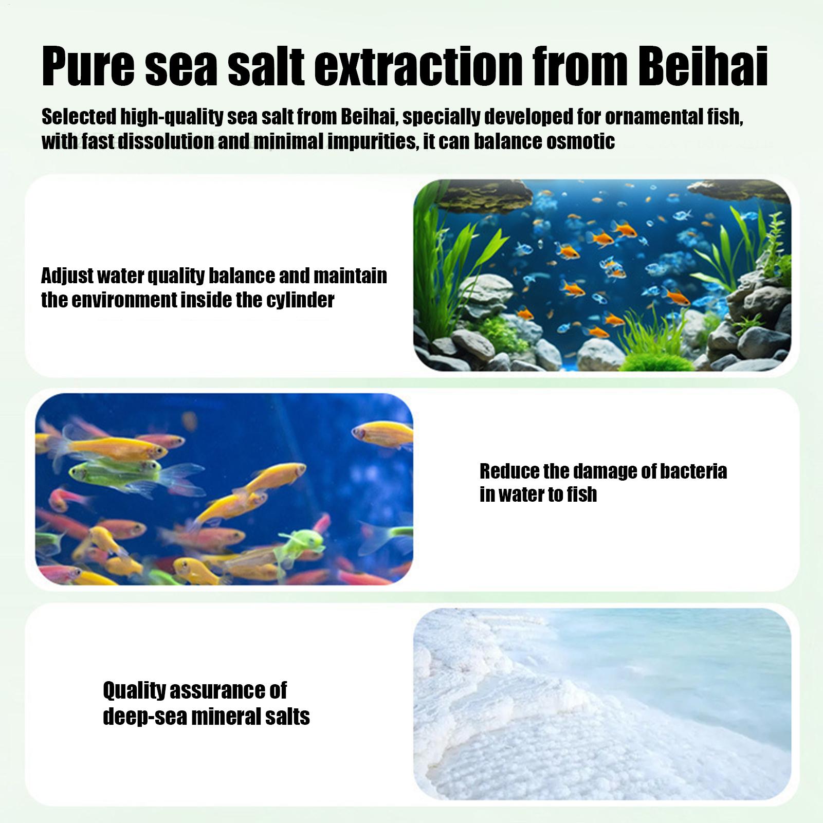 Fish Can Algae Remover Aquariu - Water Dish Reptile ulasan dan harga