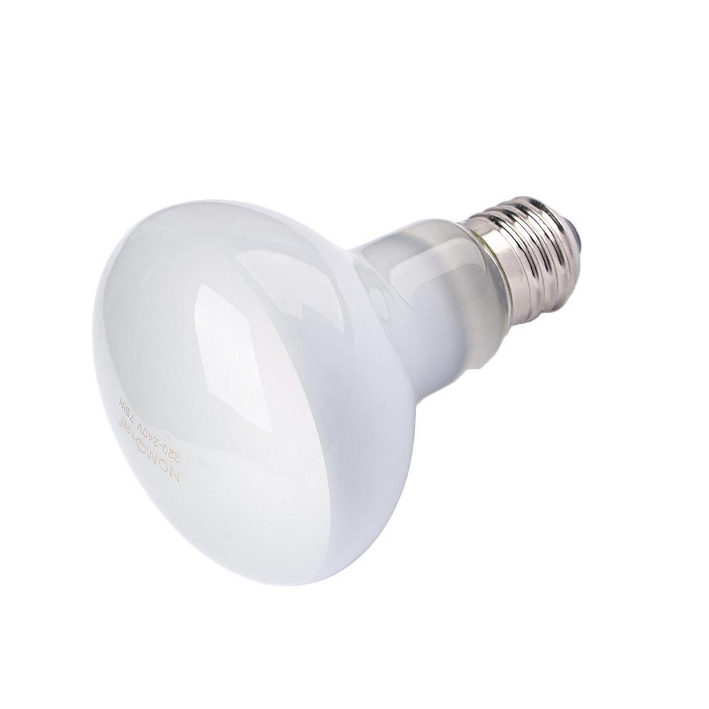 Lizard Heater Temperature Cont - Basking Bulb Halogen ulasan dan harga