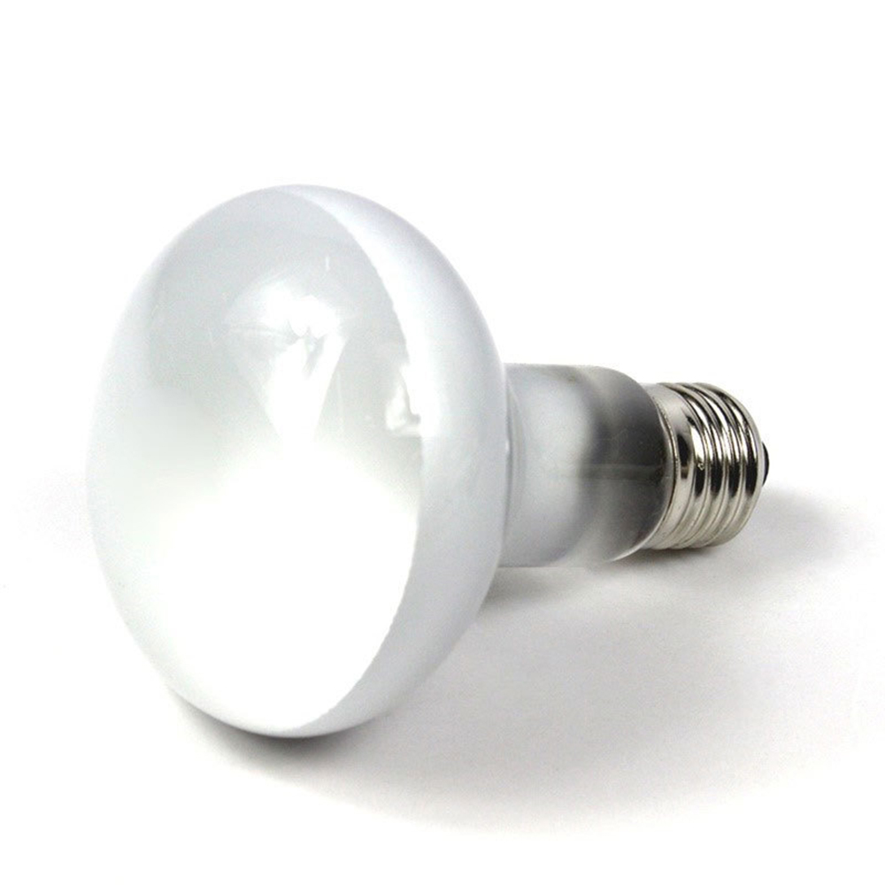 Lizard Heater Temperature Cont - Basking Bulb Halogen ulasan dan harga