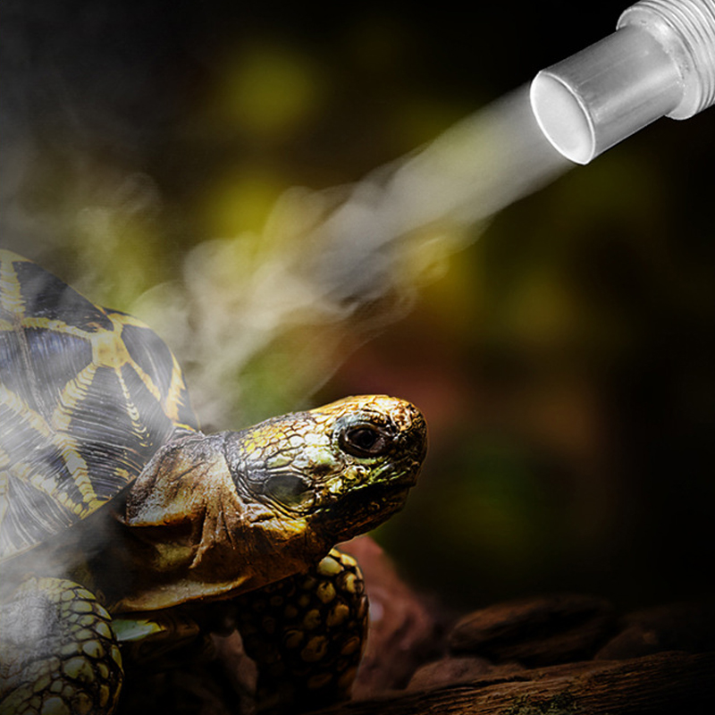 4L Reptile Terrariums Humidifi - Terrarium Fogger Ultrasonic ulasan dan harga