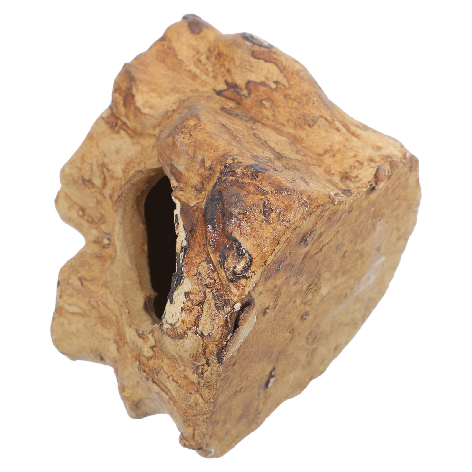 Premium Ceramic Aquarium Caves - Hide Cave Ceramic ulasan dan harga