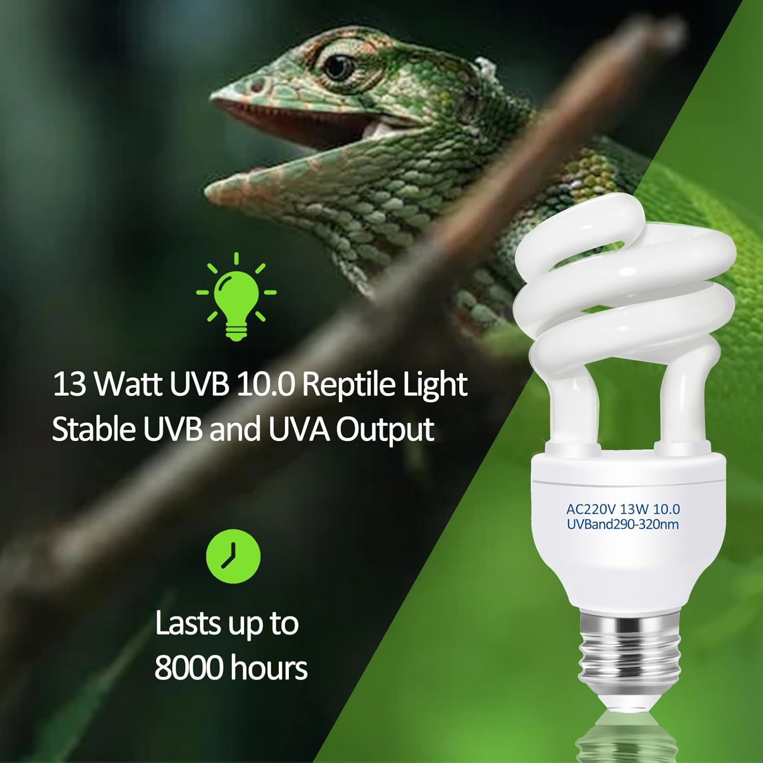 UVB 5.0 10.0 Reptile Heating L - Calcium Powder Reptile ulasan dan harga
