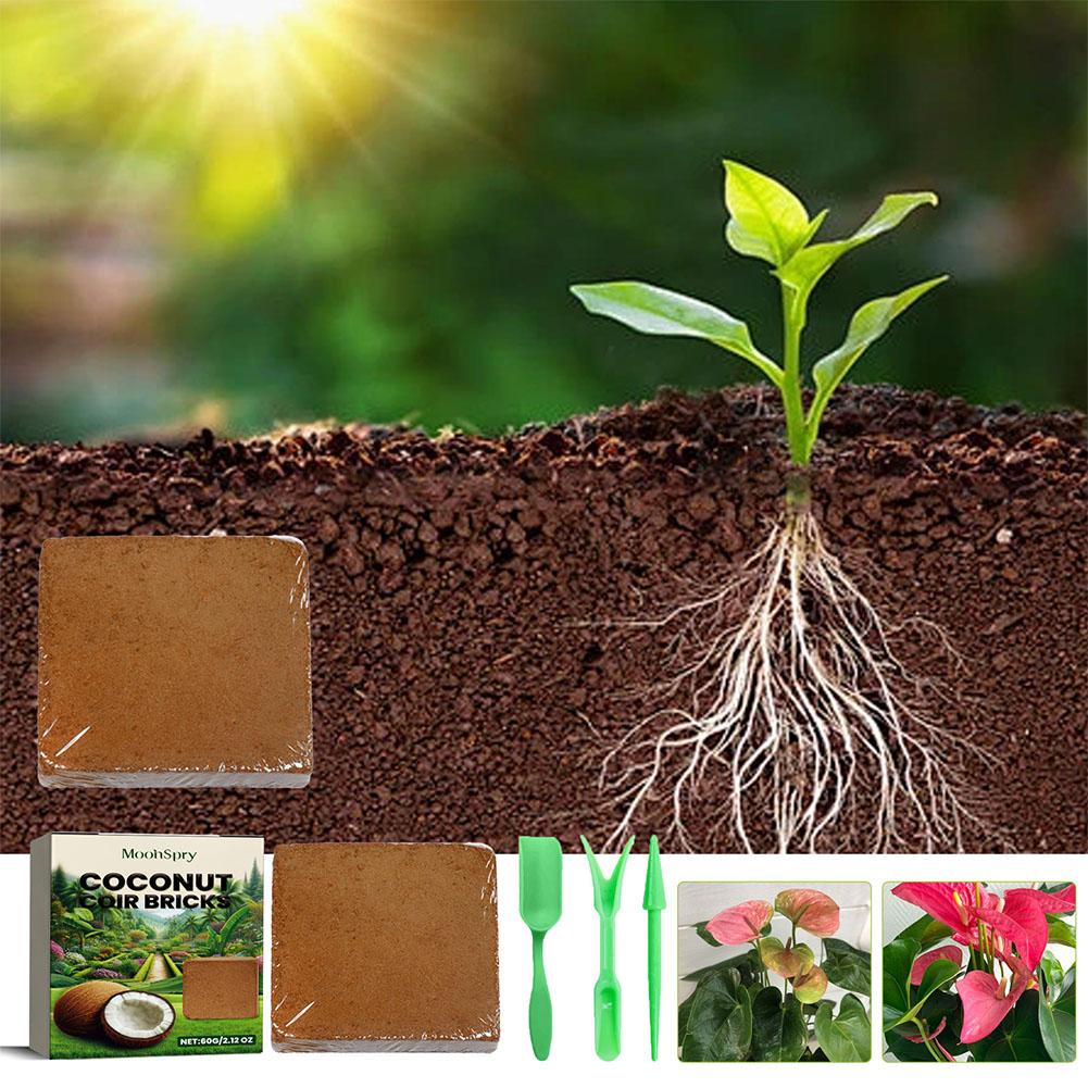 Reptile Coconut Soil Coir Pres - Substrate Coconut Fiber ulasan dan harga