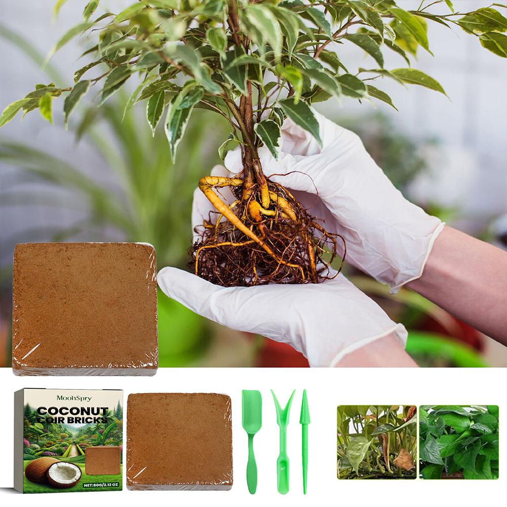 Reptile Coconut Soil Coir Pres - Substrate Coconut Fiber ulasan dan harga