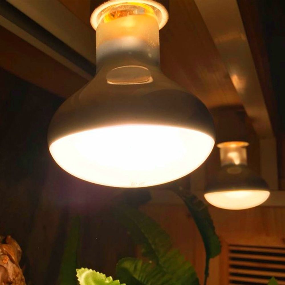 Lizard Heater Temperature Cont - Basking Bulb Halogen ulasan dan harga