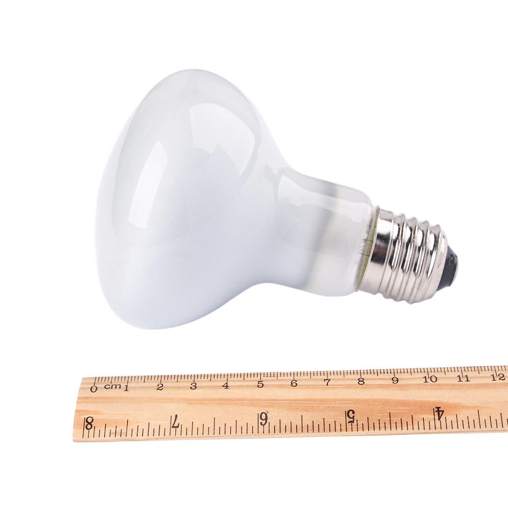 Lizard Heater Temperature Cont - Basking Bulb Halogen ulasan dan harga