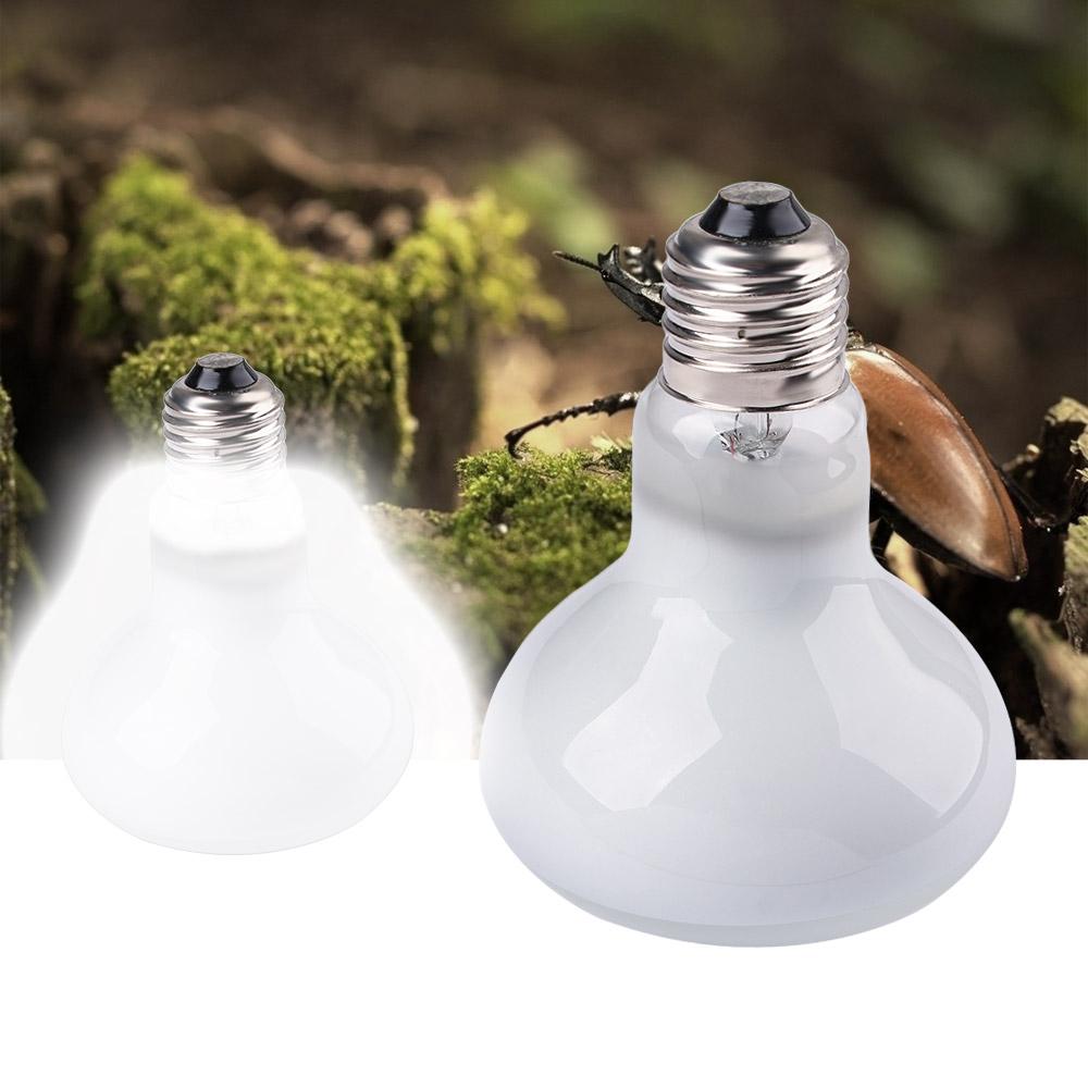 Lizard Temperature Controller  - Basking Bulb Halogen ulasan dan harga