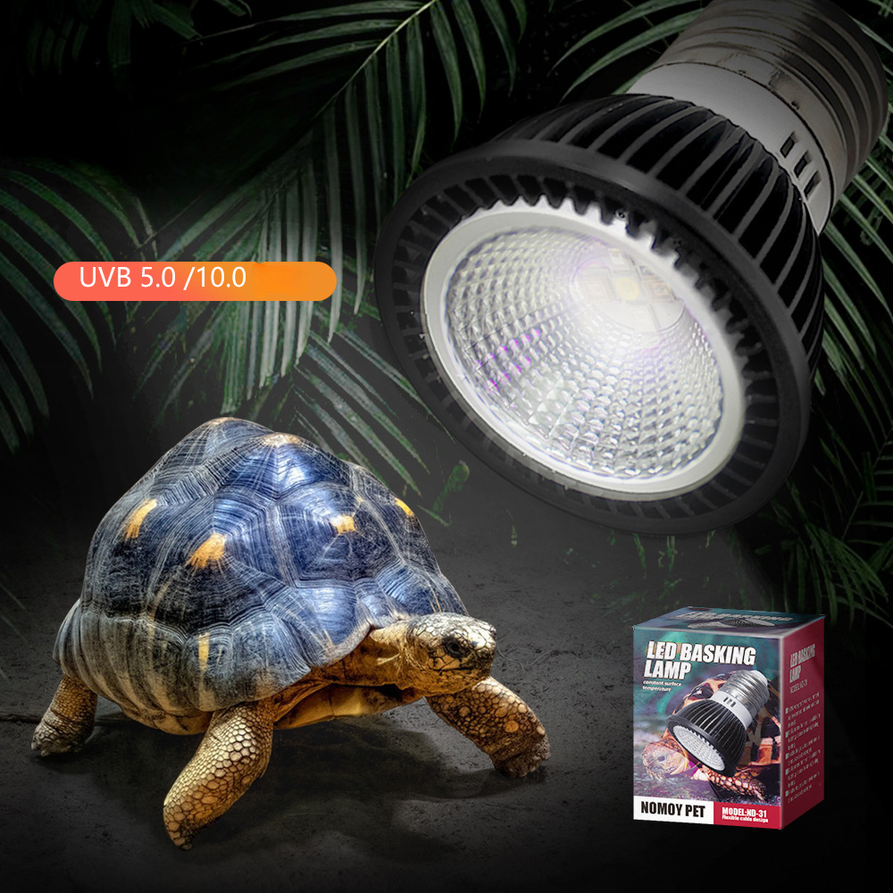 Reptile 110/220V UVB+UVA Light - Calcium Powder Reptile ulasan dan harga