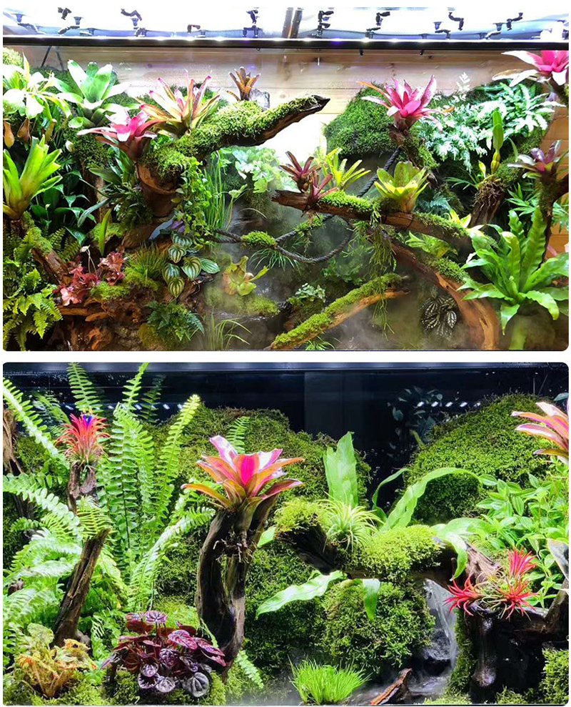 MINI Adjustable Reptile Fogger - Misting Nozzle Reptile ulasan dan harga