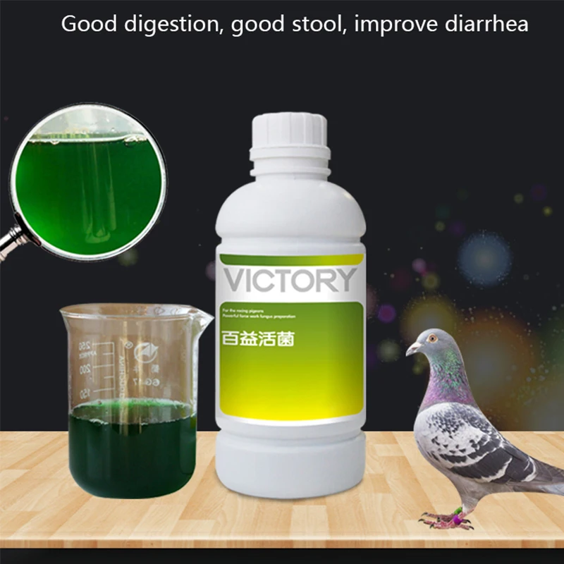 500ml Meat Pigeon Racing Pigeo - Vitamin D3 Reptile ulasan dan harga