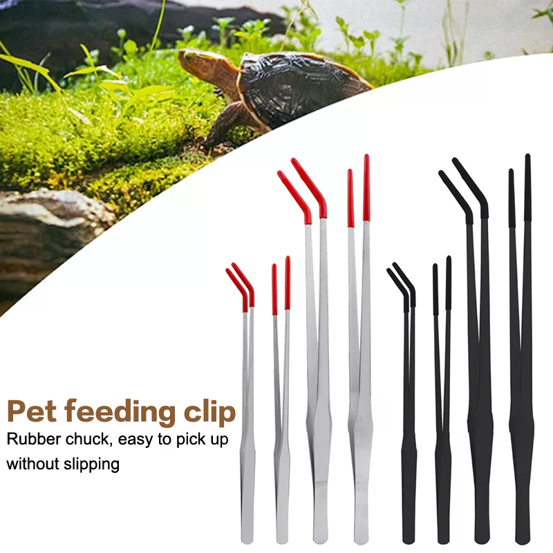 Stainless Steel Reptile Feedin - Feeding Tong Stainless ulasan dan harga