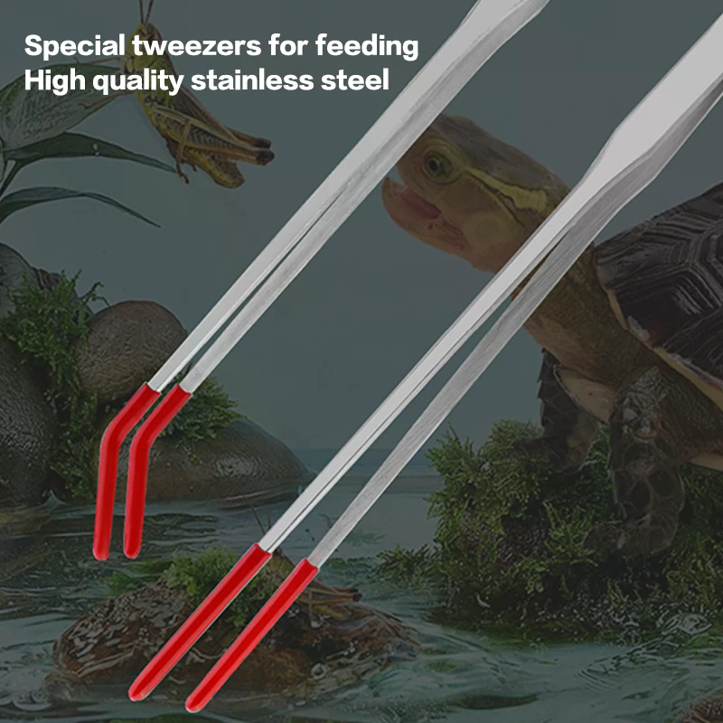 Stainless Steel Reptile Feedin - Feeding Tong Stainless ulasan dan harga