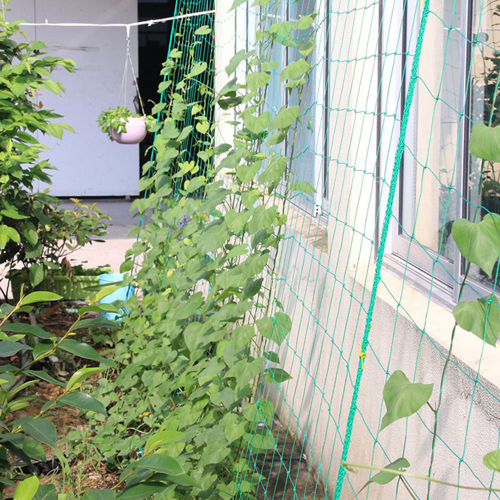 Garden Netting Plant Vine Grow - Vine Climbing Plastic ulasan dan harga