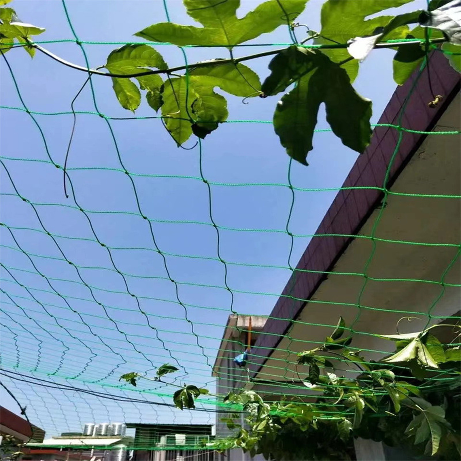 Garden Netting Plant Vine Grow - Vine Climbing Plastic ulasan dan harga