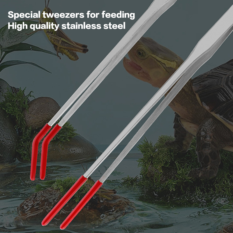 Stainless Steel Fish Tank Main - Feeding Tong Stainless ulasan dan harga