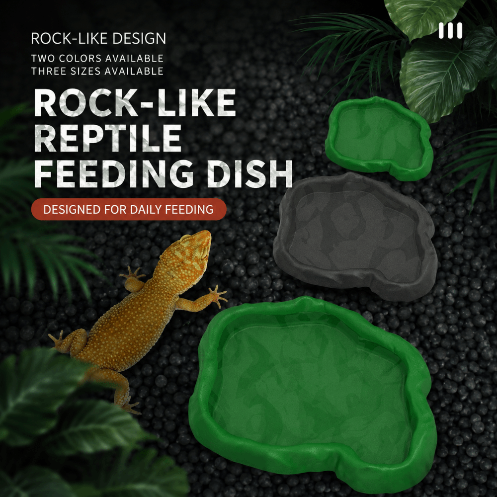 ABS Resin Reptile Feeder Bowl  - Water Dish Reptile ulasan dan harga