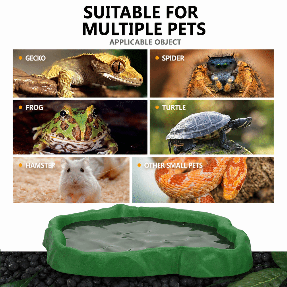 ABS Resin Reptile Feeder Bowl  - Water Dish Reptile ulasan dan harga