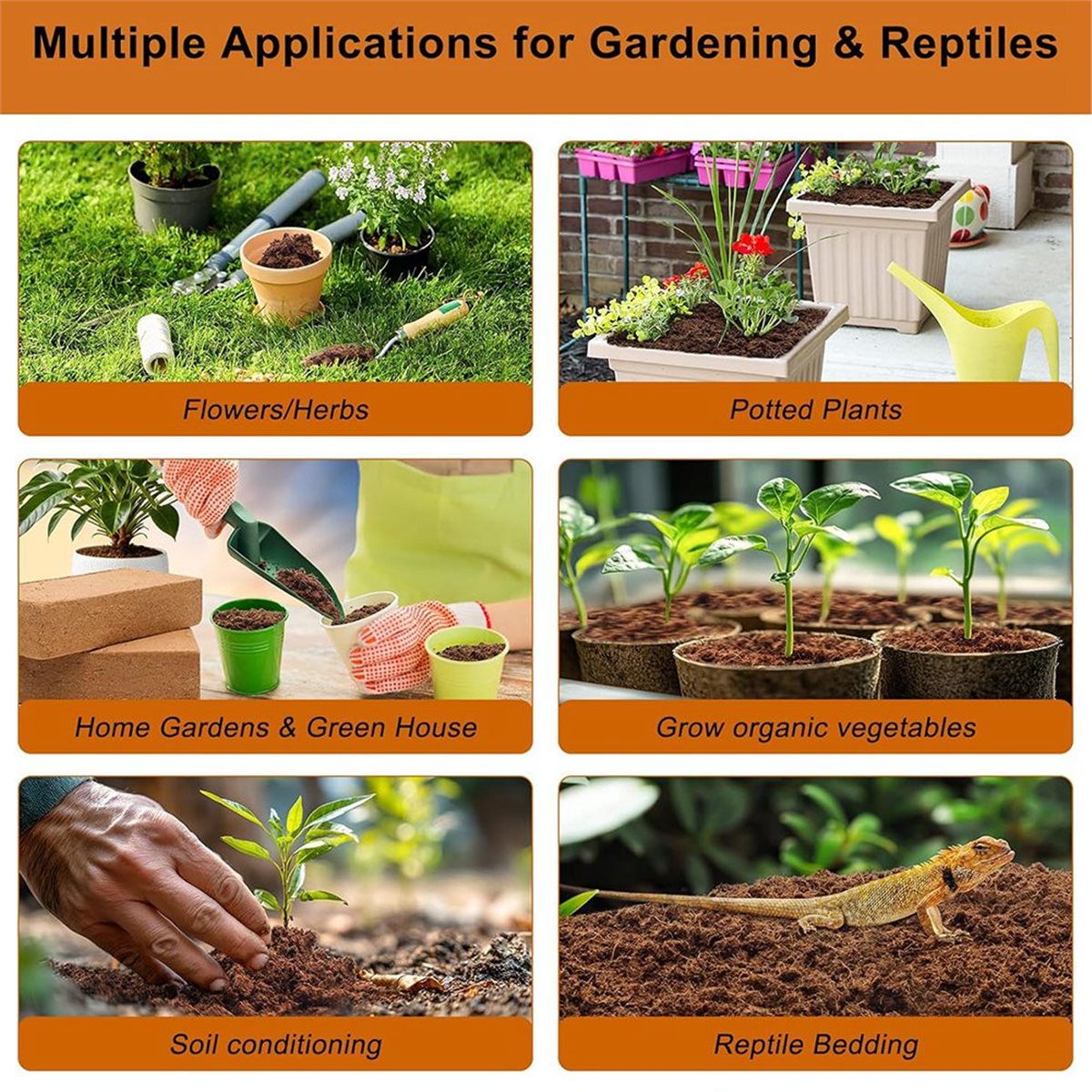 【STABLE QUALITY】3 Pack Bricks, - Substrate Coconut Fiber ulasan dan harga