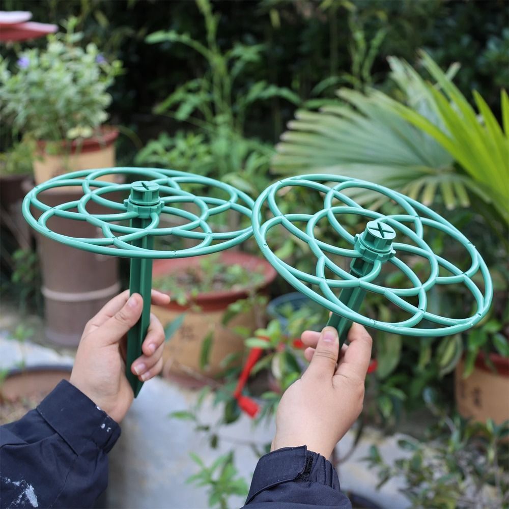 S/M/L Plastic Garden Stackable - Vine Climbing Plastic ulasan dan harga
