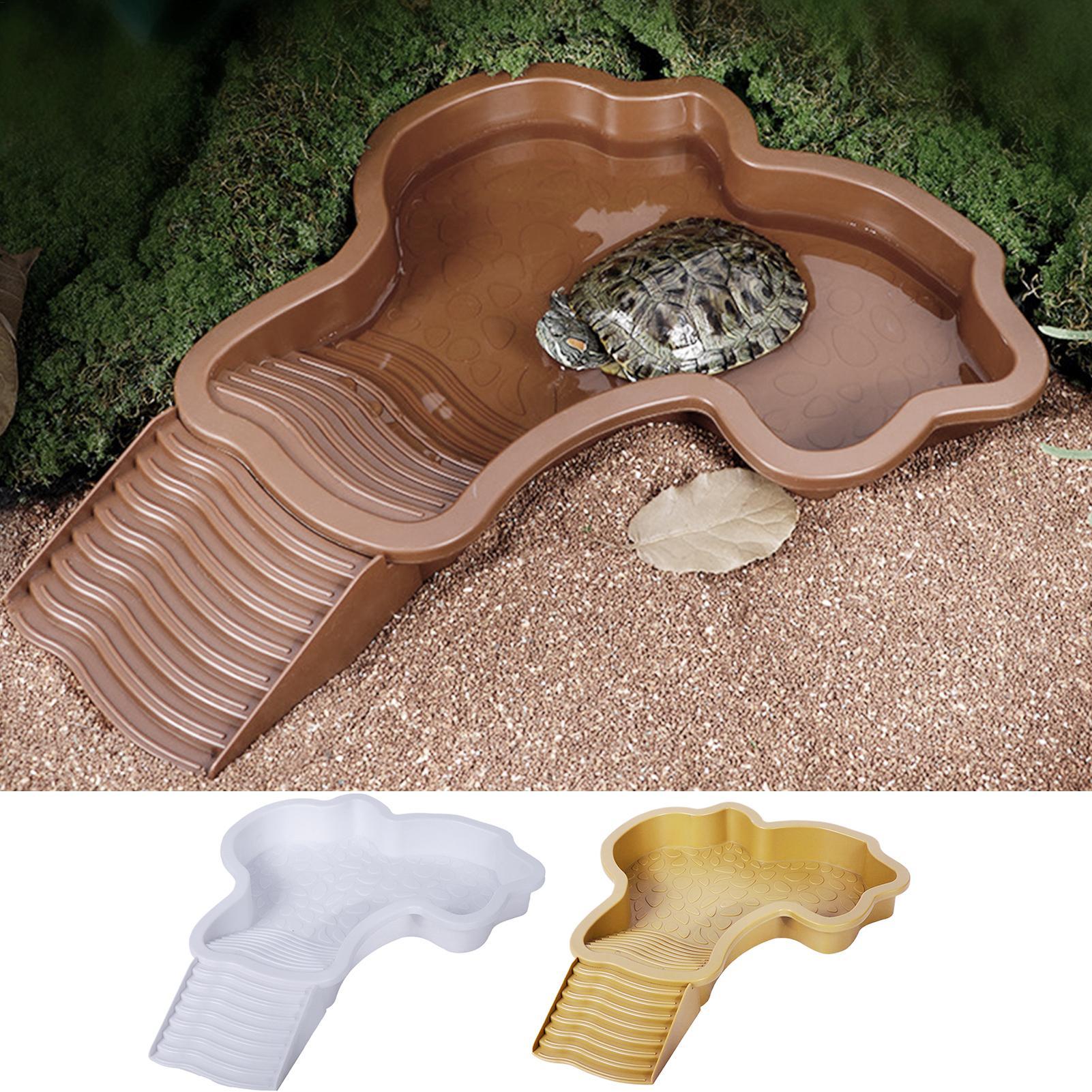 Reptile Bathing Pool with Ramp - Water Dish Reptile ulasan dan harga