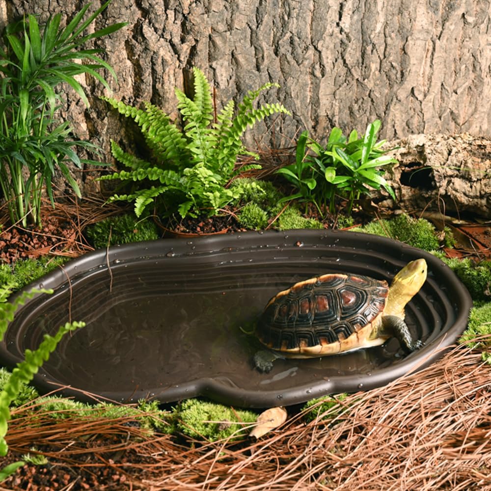 Reptile Bathing Dish Amphibian - Water Dish Reptile ulasan dan harga