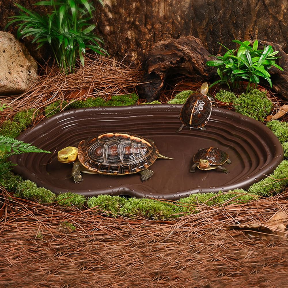 Reptile Bathing Dish Amphibian - Water Dish Reptile ulasan dan harga