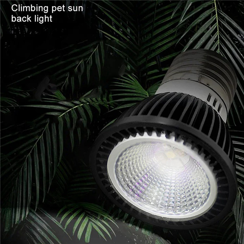 A03F-5X 110V Reptile UVB Light - Calcium Powder Reptile ulasan dan harga