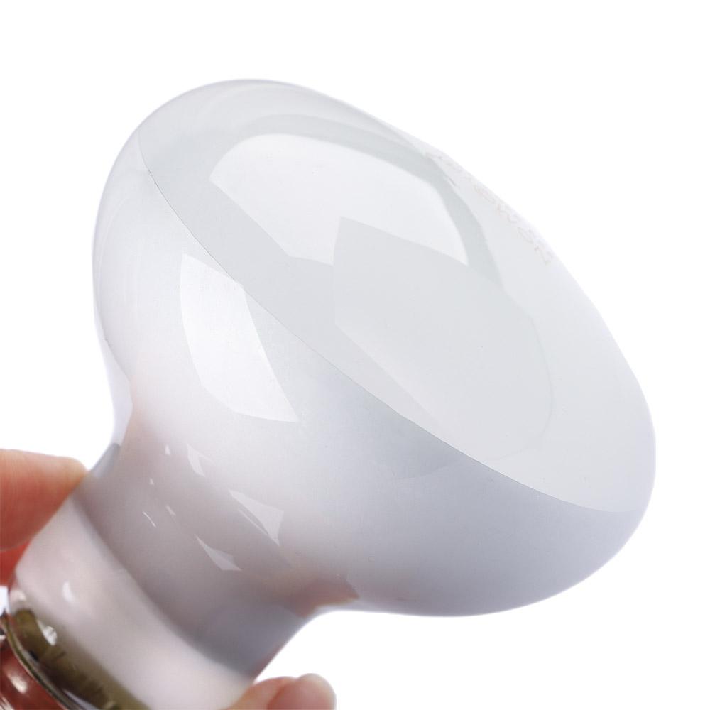 Turtle Heater Heat Lamp Reptil - Basking Bulb Halogen ulasan dan harga