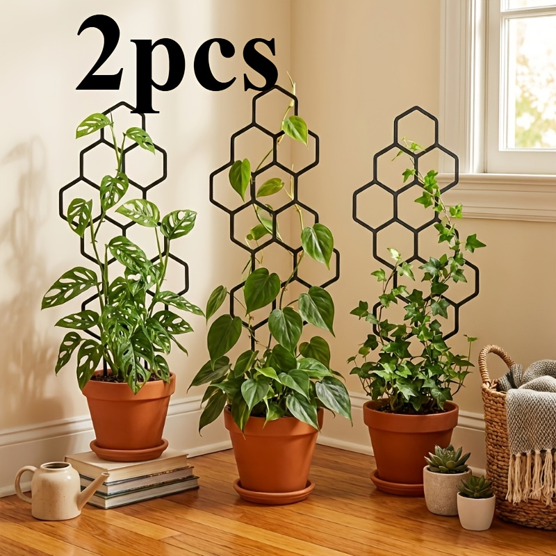 Two Climbing Plant Training De - Vine Climbing Plastic ulasan dan harga
