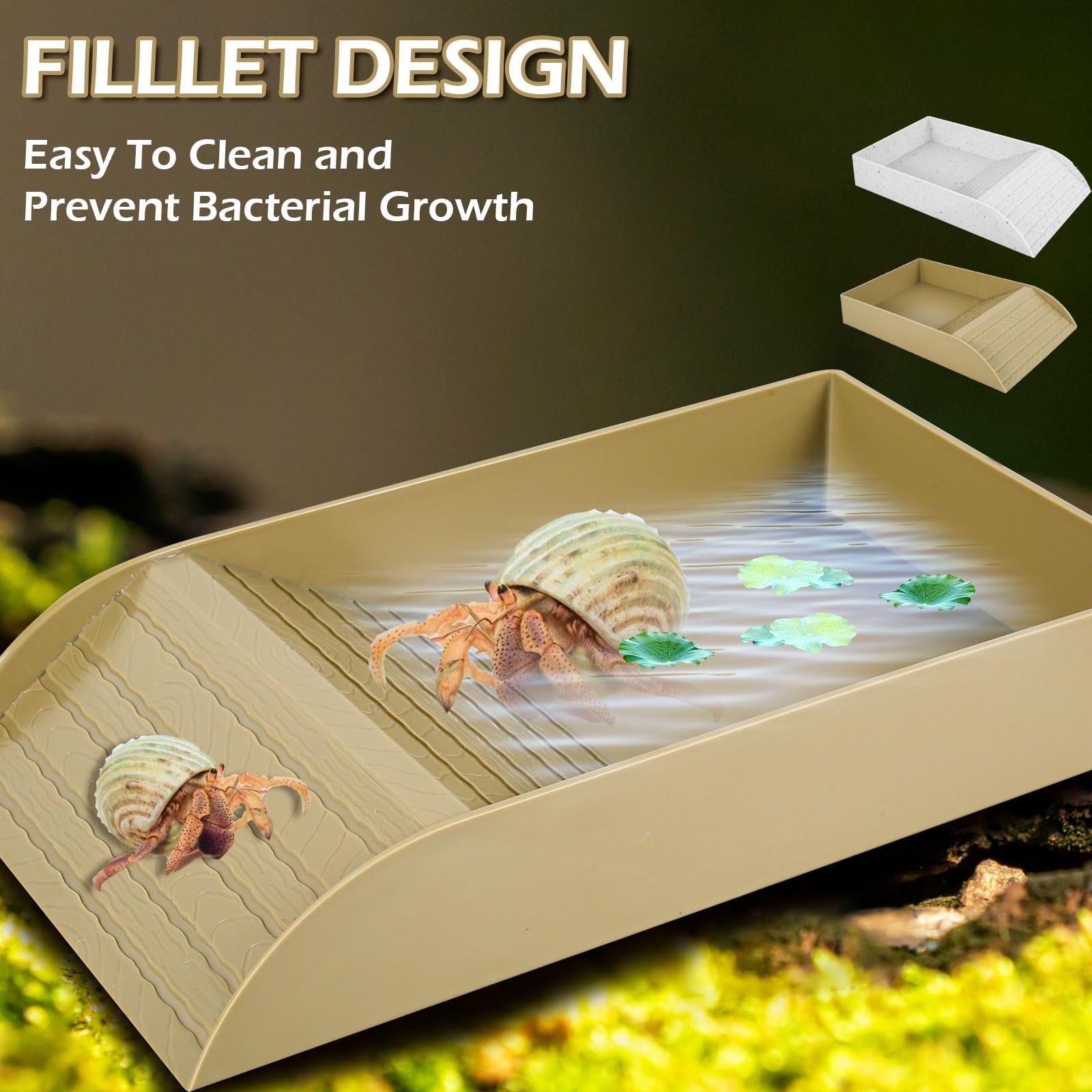 Anti Slip Tortoise Bath Dish T - Water Dish Reptile ulasan dan harga