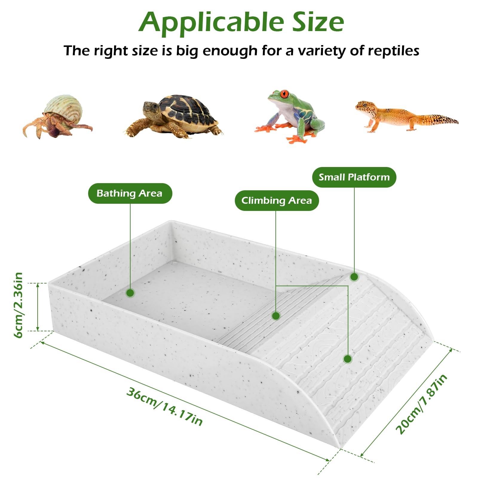 Anti Slip Tortoise Bath Dish T - Water Dish Reptile ulasan dan harga