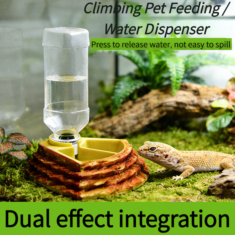 2 in 1 Reptile Water Cup Feede - Water Dish Reptile ulasan dan harga