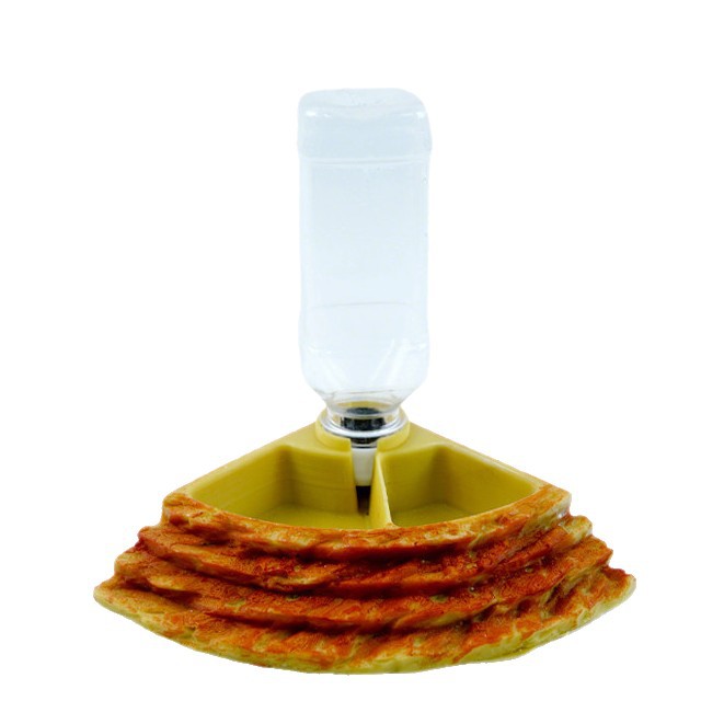 2 in 1 Reptile Water Cup Feede - Water Dish Reptile ulasan dan harga