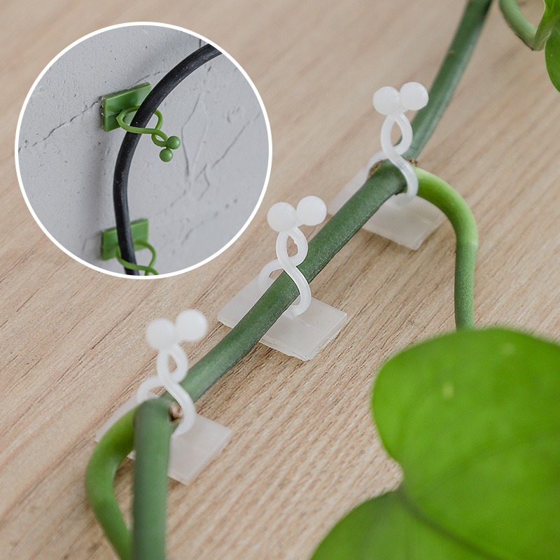 10Pcs Plant Wall Fixing Hooks  - Vine Climbing Plastic ulasan dan harga