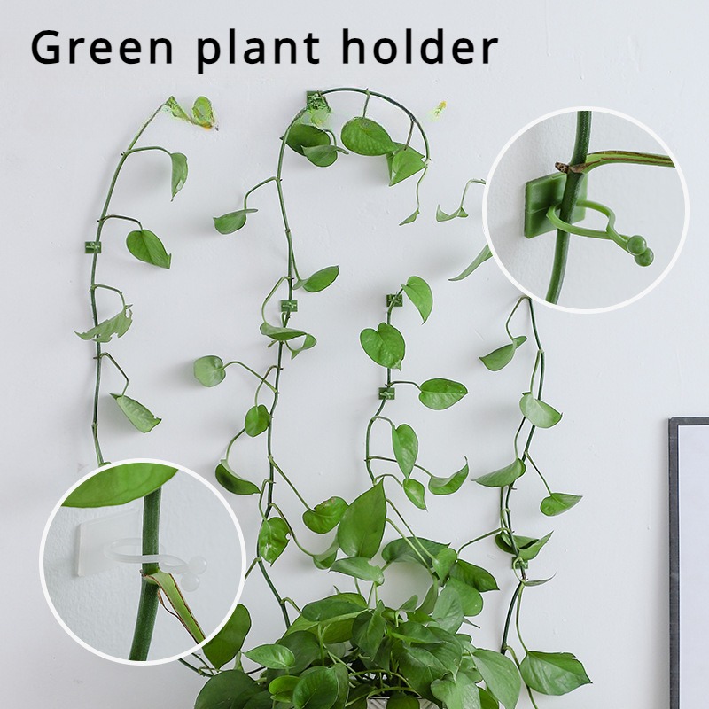 10Pcs Plant Wall Fixing Hooks  - Vine Climbing Plastic ulasan dan harga