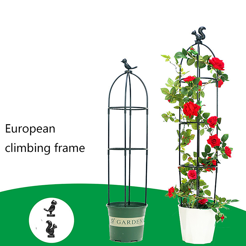 C 1Set Climbing Plant Trellis  - Vine Climbing Plastic ulasan dan harga
