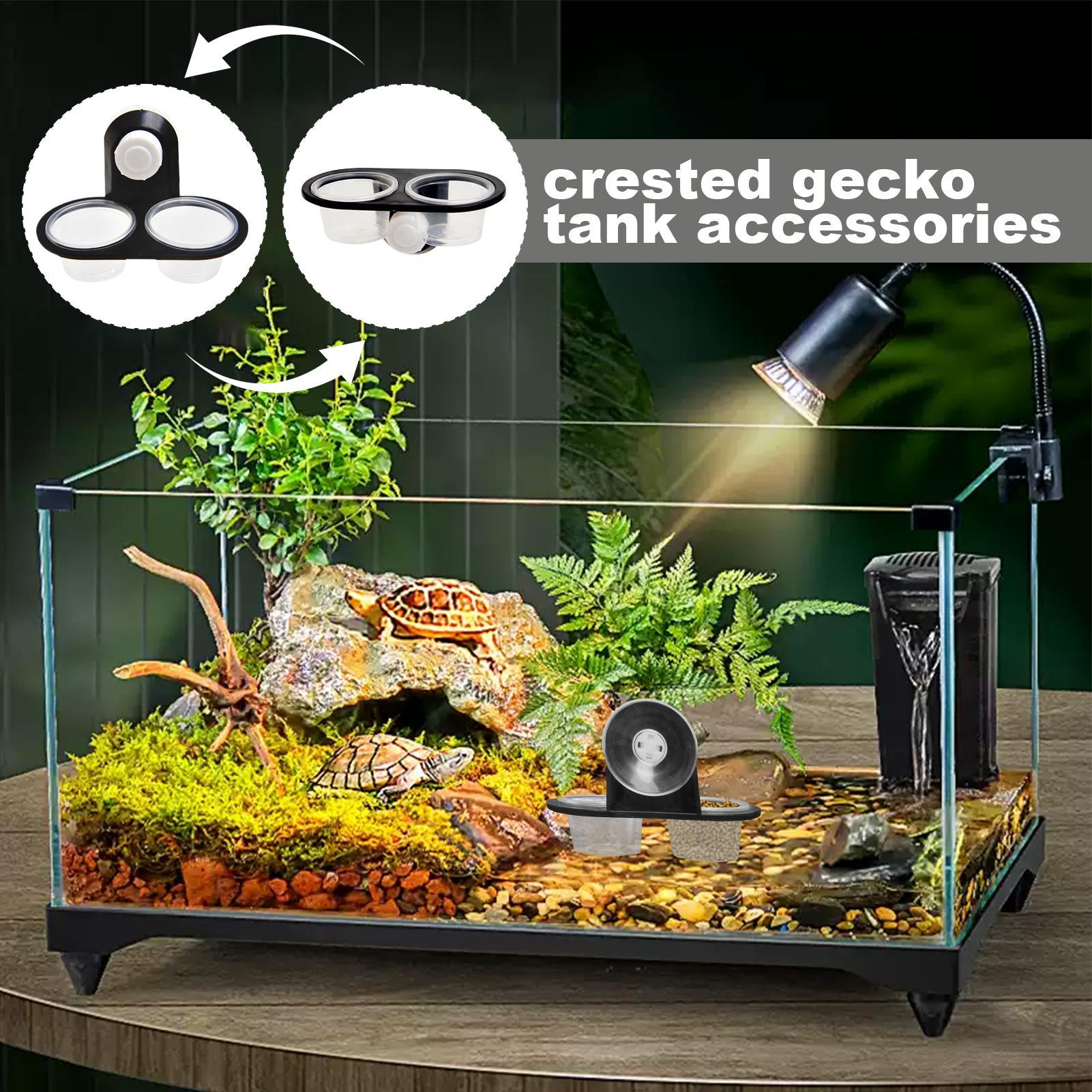 Gecko Food Dish Gecko Water Di - Water Dish Reptile ulasan dan harga