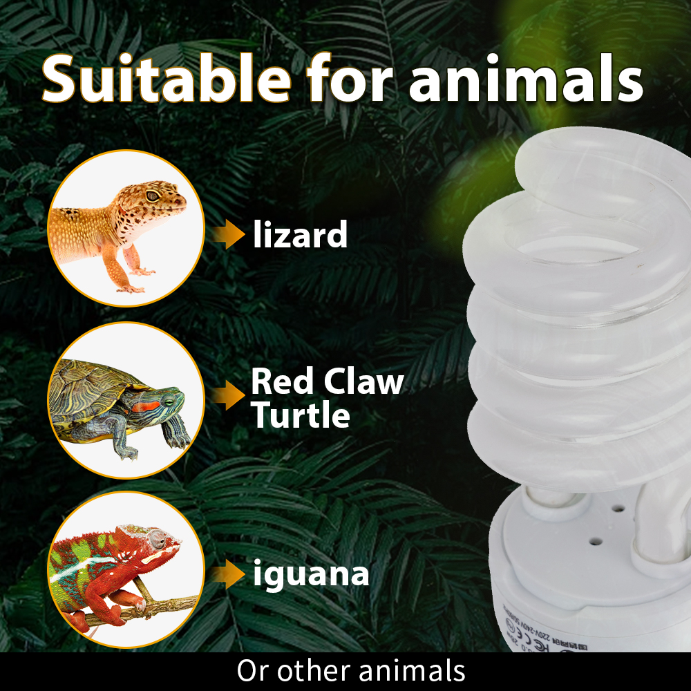 26W Pet Box Lamp Calcium Suppl - Calcium Powder Reptile ulasan dan harga