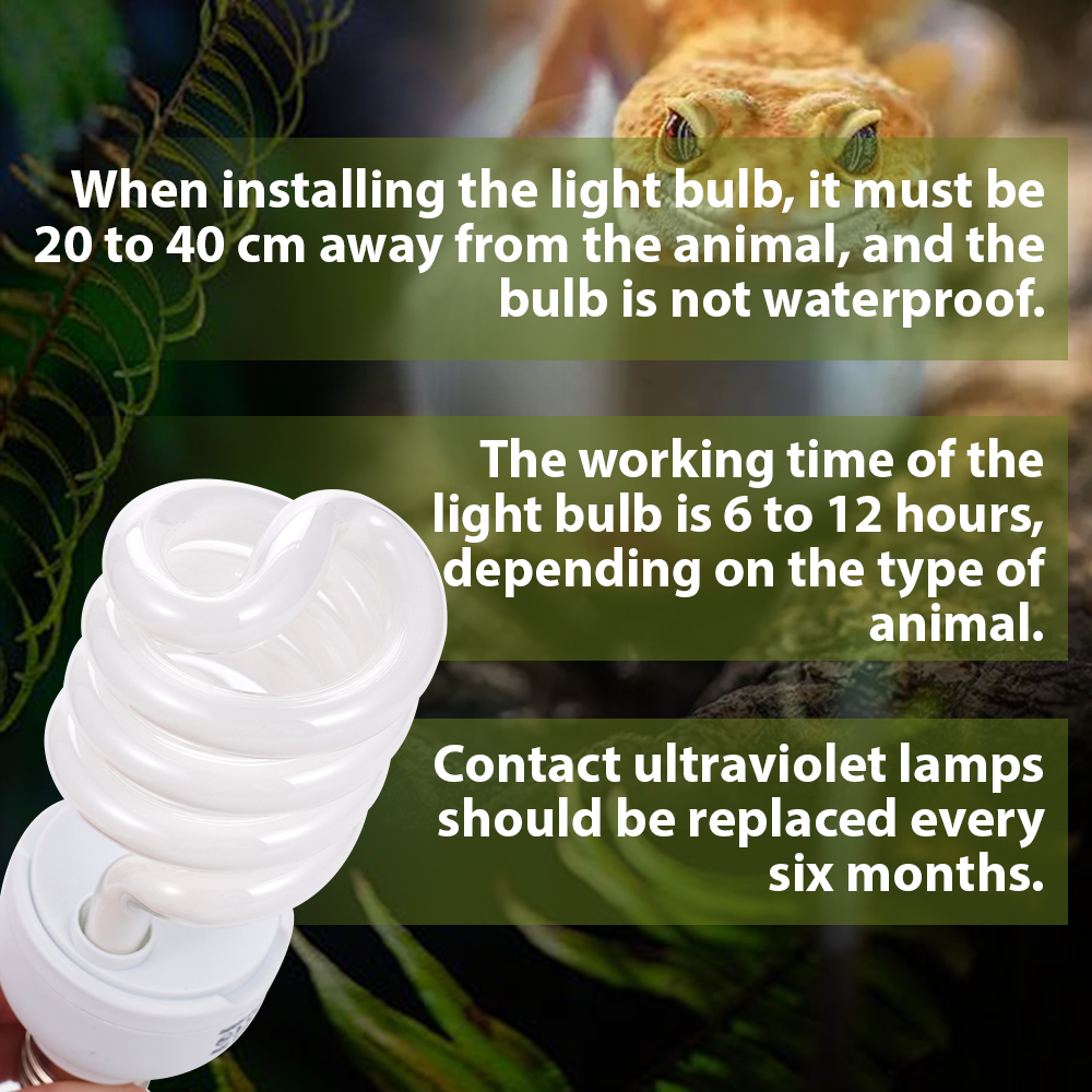 26W Pet Box Lamp Calcium Suppl - Calcium Powder Reptile ulasan dan harga