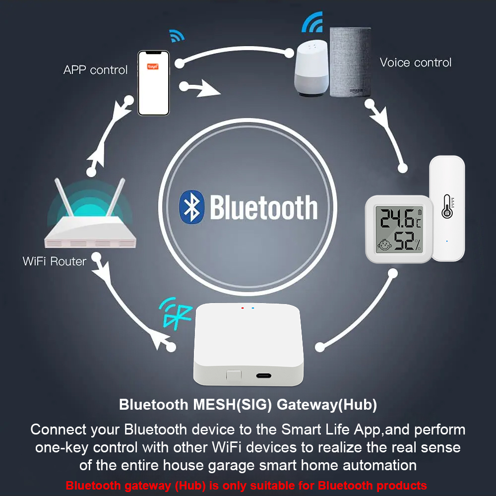 Tuya Bluetooth Gateway Hub or  - Digital Hygrometer Probe ulasan dan harga
