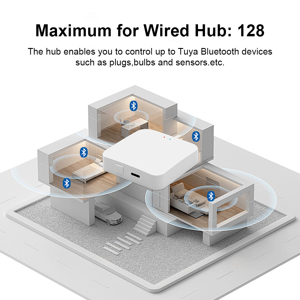Tuya Bluetooth Gateway Hub or  - Digital Hygrometer Probe ulasan dan harga
