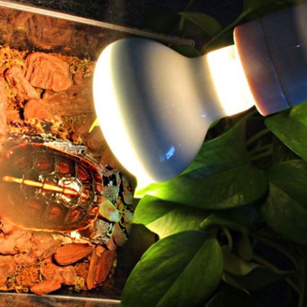 Turtle Heater Temperature Cont - Basking Bulb Halogen ulasan dan harga