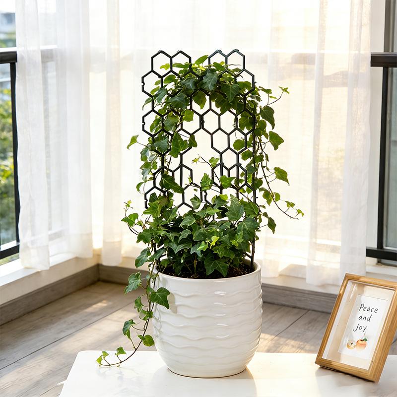 1/5Pcs Honeycomb Design Plant  - Vine Climbing Plastic ulasan dan harga